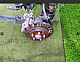    : Screenshot_20241121-145605